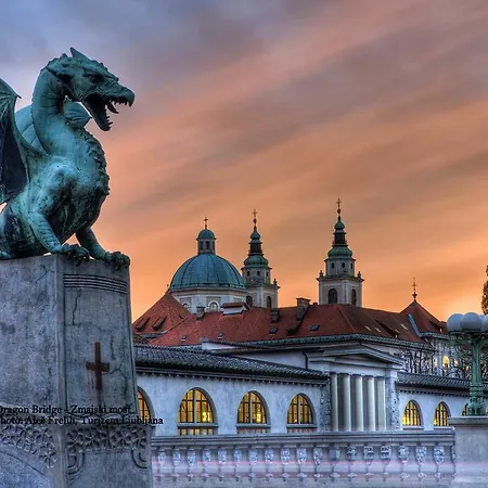 Center 25 * Ljubljana